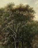 CARUS Carl Gustav Waldstück Mit Eiche CARUS Carl Gustav Waldstück Mit Eiche
