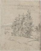 CARUS Carl Gustav Weite Landschaft Mit Fichtengruppe CARUS Carl Gustav Weite Landschaft Mit Fichtengruppe