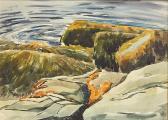CASS Kae Dorn Along The Shore CASS Kae Dorn Along The Shore