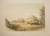CATLIN George Buffalo Hunt CATLIN George Buffalo Hunt