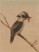 CAYLEY Neville, Jnr. Will. Kookaburra And Kingfisher CAYLEY Neville, Jnr. Will. Kookaburra And Kingfisher