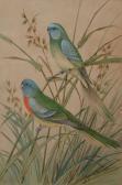 CAYLEY Neville, Jnr. Will. Parrots CAYLEY Neville, Jnr. Will. Parrots