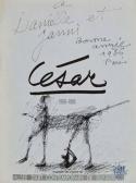 CESAR Senza Titolo CESAR Senza Titolo
