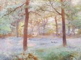 CHADWICK Ernest Albert In A Bluebell Wood CHADWICK Ernest Albert In A Bluebell Wood