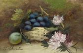 CHESTON Evelyn Still Lifes Of Fruit And Flowers CHESTON Evelyn Still Lifes Of Fruit And Flowers