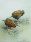 CHING Raymond Harris Pair Of Wekas CHING Raymond Harris Pair Of Wekas