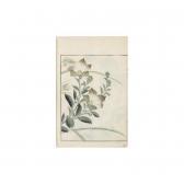 CHINNEN Onishi Sonan Gafu. Album De Dessins De Sonan CHINNEN Onishi Sonan Gafu. Album De Dessins De Sonan