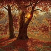 CHOULTSE Ivan Fedorovitch Soir D'automne CHOULTSE Ivan Fedorovitch Soir D'automne
