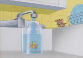 CHUCK JONES STUDIO Filet Meow CHUCK JONES STUDIO Filet Meow
