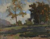 CIBRARIO Alberto Paesaggio
CIBRARIO Alberto Paesaggio