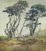 CIPRICO Marguerite Freytag Coastal Trees CIPRICO Marguerite Freytag Coastal Trees