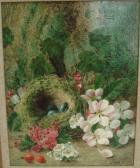 CLARE Oliver Still Life CLARE Oliver Still Life