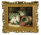 CLARE Oliver Still Life Of A Blackbird's Nest And Apple Blossom CLARE Oliver Still Life Of A Blackbird's Nest And Apple Blossom