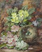 CLARE Oliver Still Life With Bird's Nest And Flowers On A Bank CLARE Oliver Still Life With Bird's Nest And Flowers On A Bank