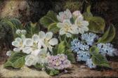 CLARE Oliver Still Lifes Of Fruit And Flowers On A Mossy Bank CLARE Oliver Still Lifes Of Fruit And Flowers On A Mossy Bank