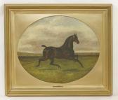 CLARK Albert Conjuror Ii' - A Carriage Horse CLARK Albert Conjuror Ii' - A Carriage Horse