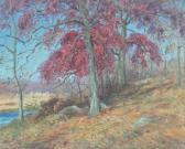 CLARK Eliot Candee Impressionist View Of Oaks In Autumn CLARK Eliot Candee Impressionist View Of Oaks In Autumn