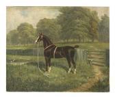 CLARK James III A Working Cob CLARK James III A Working Cob