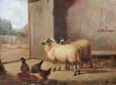 CLARK James III Sheep And Hens In A Stable CLARK James III Sheep And Hens In A Stable