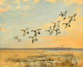 CLARK Roland Canvasbacks CLARK Roland Canvasbacks