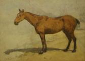 CLARK W Study Of A Horse CLARK W Study Of A Horse
