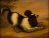 COCQ de Cornelis Spielender Hund COCQ de Cornelis Spielender Hund