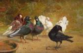 COLLINS Charles II The Uninvited Guest COLLINS Charles II The Uninvited Guest