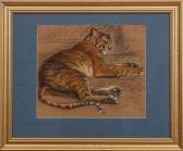 COOK Gladys Emerson Tiger COOK Gladys Emerson Tiger
