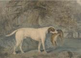 Cooper J.E. A Gundog With A Hare, In A Wooded Landscape Cooper J.E. A Gundog With A Hare, In A Wooded Landscape