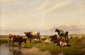COOPER Thomas Sidney Weite Landschaft Mit Kühen Und Schafen An Einem Bach COOPER Thomas Sidney Weite Landschaft Mit Kühen Und Schafen An Einem Bach