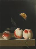 COORTE Adriaen Three Peaches On A Stone Ledge, With A Red Admiral Butterfly COORTE Adriaen Three Peaches On A Stone Ledge, With A Red Admiral Butterfly