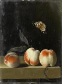 COORTE Adriaen Three Peaches On A Stone Ledge With A Red Admiral Butterfly COORTE Adriaen Three Peaches On A Stone Ledge With A Red Admiral Butterfly