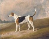 CORBETT Julian S. Bluecap A Prize Hound CORBETT Julian S. Bluecap A Prize Hound