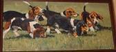 COWARD Malcolm Bassett Hounds COWARD Malcolm Bassett Hounds
