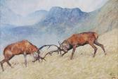 COWARD Malcolm Rutting Stags COWARD Malcolm Rutting Stags