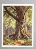 COX Charles Hudson Youth Reclining Beneath A Large Tree COX Charles Hudson Youth Reclining Beneath A Large Tree