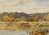 cox snr. david Cows By A River cox snr. david Cows By A River