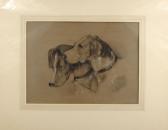 CRACKLAW Lena Dogs Heads CRACKLAW Lena Dogs Heads