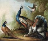 CRADOCK Marmaduke A Peacock CRADOCK Marmaduke A Peacock