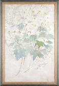 CRAIG Esther Study Of White Flowers CRAIG Esther Study Of White Flowers