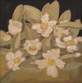 CRAIG Sybil Gordonias CRAIG Sybil Gordonias