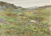 CRAIGMILLE William A Moorland Stream CRAIGMILLE William A Moorland Stream