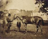 CRAVEN William, 2nd Earl Wild Dayrell CRAVEN William, 2nd Earl Wild Dayrell