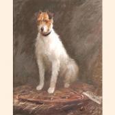 CROSSE Edwin Reeve Bobs CROSSE Edwin Reeve Bobs
