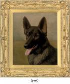 CROWTHER Henry Jules Of Siler Warren, An Alsatian CROWTHER Henry Jules Of Siler Warren, An Alsatian