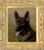 CROWTHER Henry Jules Of Siler Warren, An Alsatian CROWTHER Henry Jules Of Siler Warren, An Alsatian