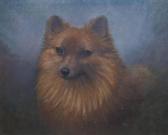 CROWTHER Henry Pomeranian CROWTHER Henry Pomeranian