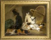 DAGOMER Charles King Charles, Carlin Et Hamsters DAGOMER Charles King Charles, Carlin Et Hamsters