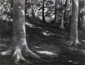 DALLADAY SUSAN Woodland Scene DALLADAY SUSAN Woodland Scene