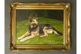 DANIEL Portrait Of An Alsatian DANIEL Portrait Of An Alsatian
